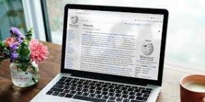 Read more about the article 5 Wikipedia Apps to Discover Interesting Articles and Browse Wikipedia Better