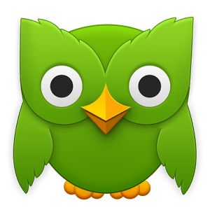 Read more about the article Get Started With Duolingo, the Best Way to Master a New Language
